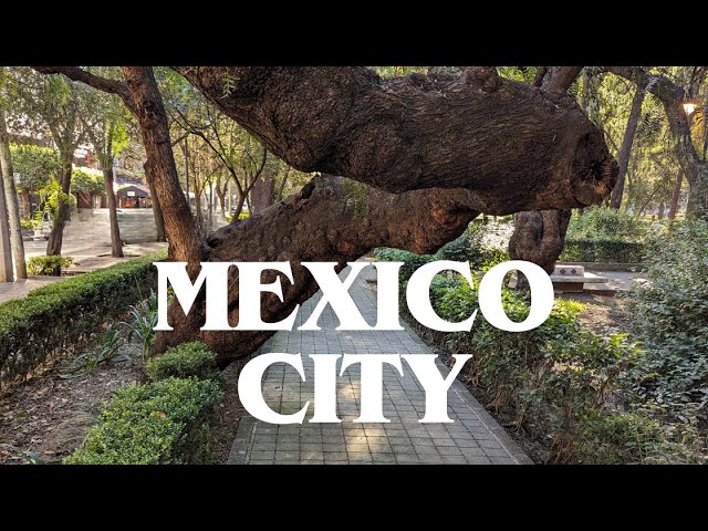 Avenida Horacio, Mexico City - HD Walking Tour