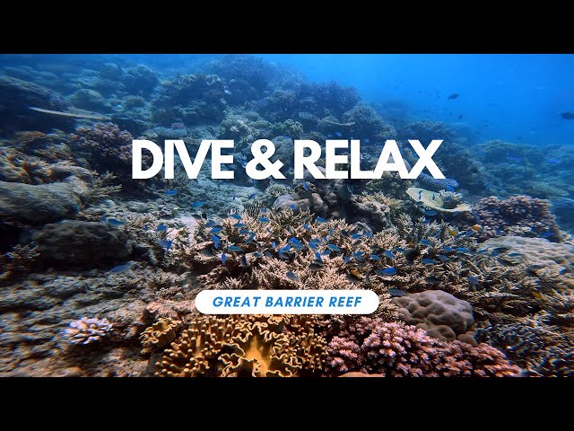 Underwater Paradise with Relaxing and Meditation Music | Great Barrier Reef | 4K