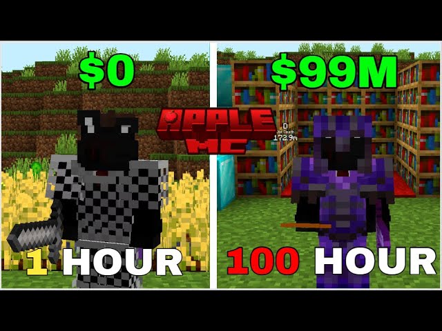 I Play AppleMC for 100 Hours | Lifesteal SMP..