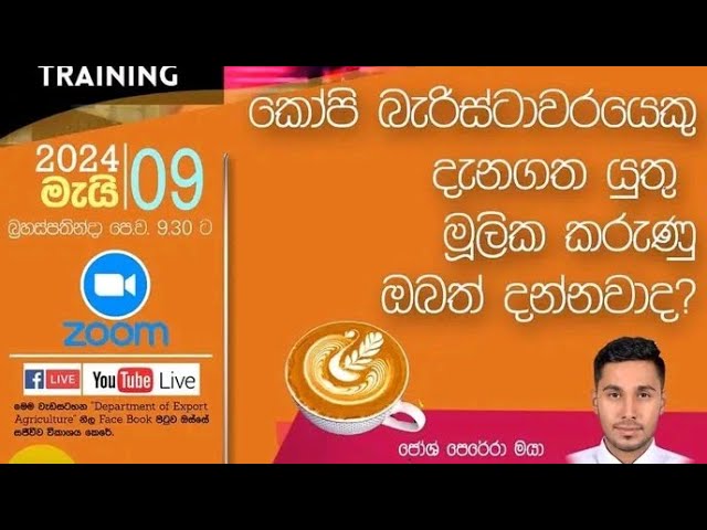 කෝපි බැරිස්ටාවරයෙකු දැනගත යුතු කරුණු ඔබත් දන්නවාද?