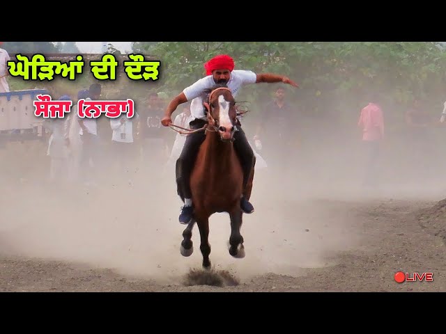 🔴SAUJA (Nabha) || HORSE RACING || 17 June 2023