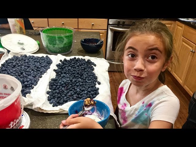 3 Gallons of Blueberries