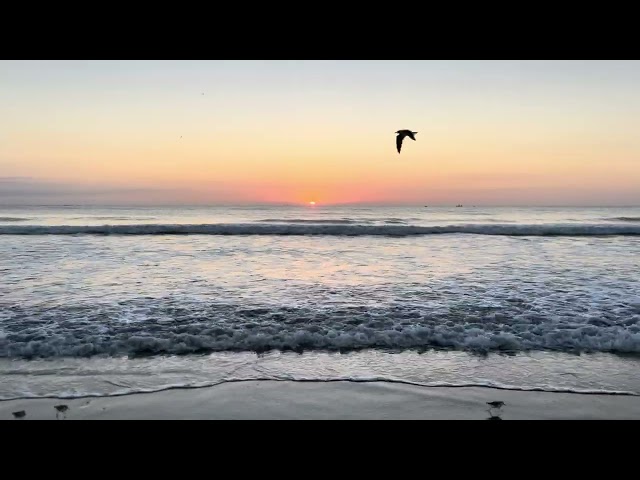 Just 3 Minutes of Ocean Sounds at Sunrise to Bring Calm to your Day