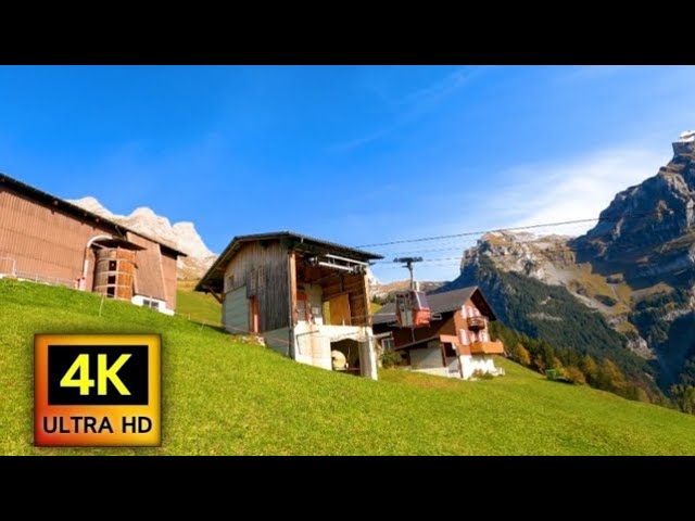 4K Ultra HD Video With Sweet Relaxing Background Music. #4k  #8k