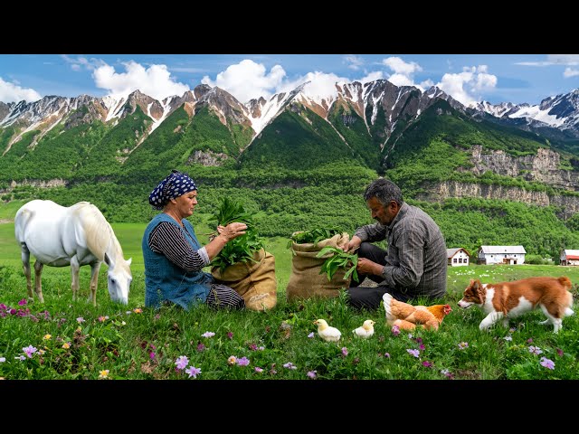 From the Mountain to the Table: Picking Priceless Wild Garlic for Incredible Stuffed Bread!