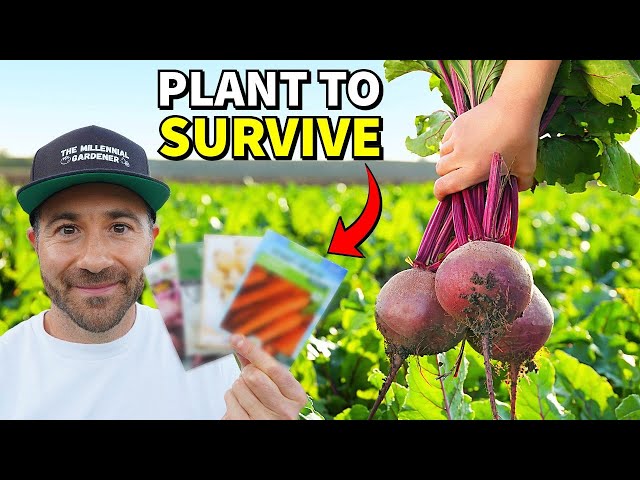 DON'T STARVE! 10 Cold Hardy SURVIVAL CROPS You Can Grow All Winter!