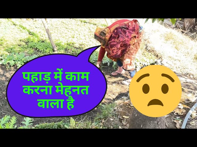 पहाड़ की औरते आज भी इतना काम करती है ? | अम्मा आज भी घर के सारे काम करती है 😮