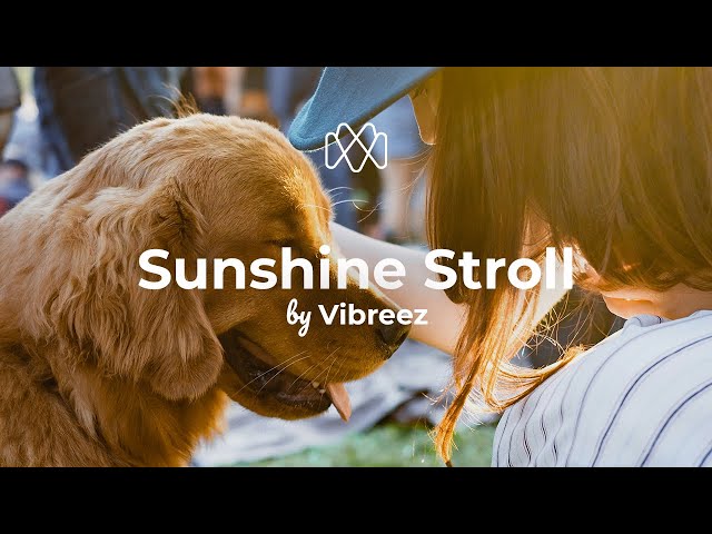 Vibreez - Sunshine Stroll