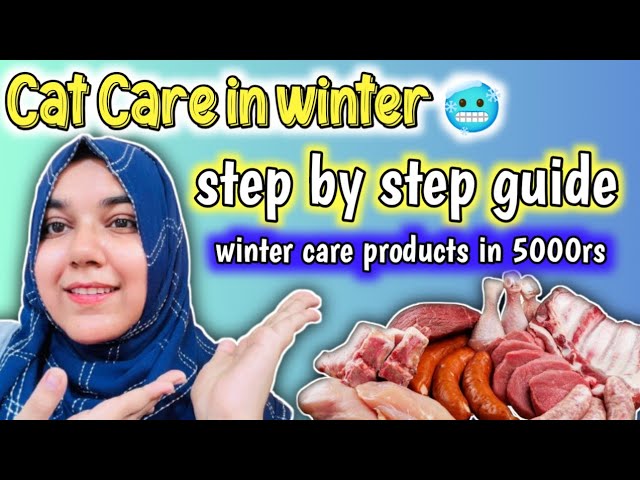 Persian Cat Care In Winter🥶How to keep your cat warm in winter || How to protect your cat from Cold