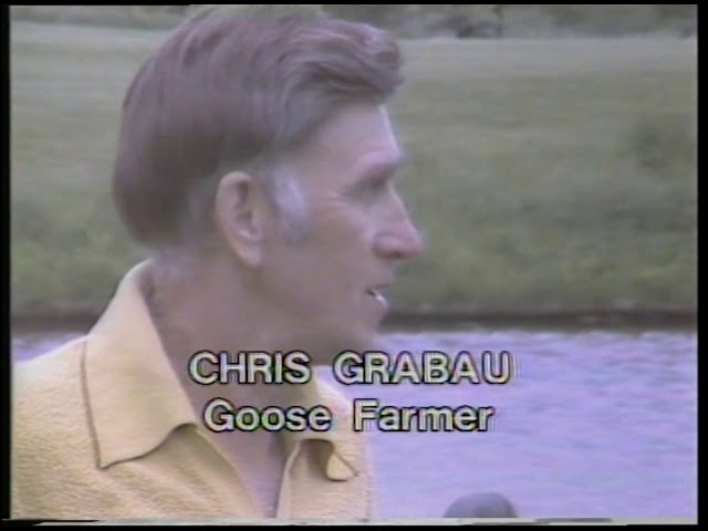 BIOS: The Giant Canada Goose in Iowa