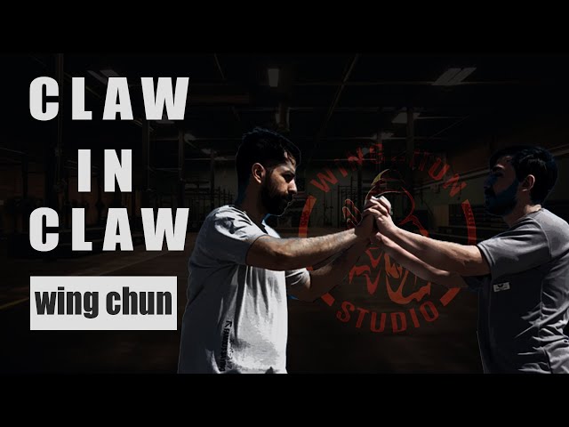 Defend Like a Pro: Advanced Wing Chun Techniques for Close Combat (Hand to Hand Self Defense)