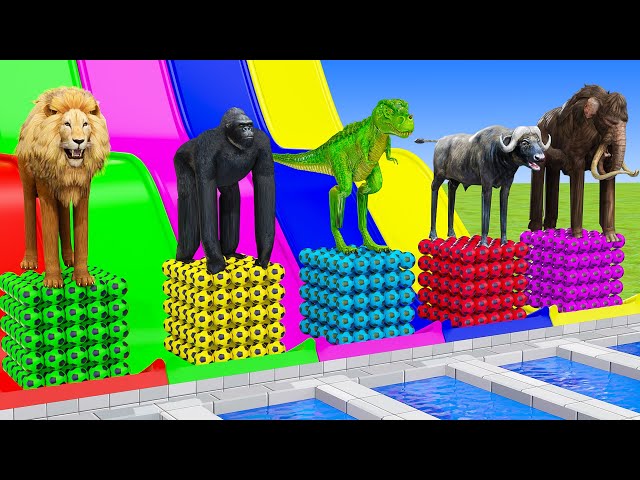 Long Slide Game With Elephant Gorilla Buffalo Hippopotamus Tiger - 3d Animal Game - Funny 3d Animals