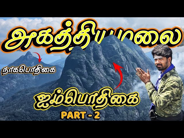 🔥அகத்தியரை பாத்தாச்சு - 2024🙏 | Agathiyamalai Trekking | Agasthyakoodam | Pothigaimalai | Part - 2