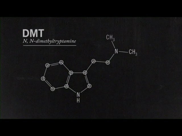 What Is DMT? Joe Rogan