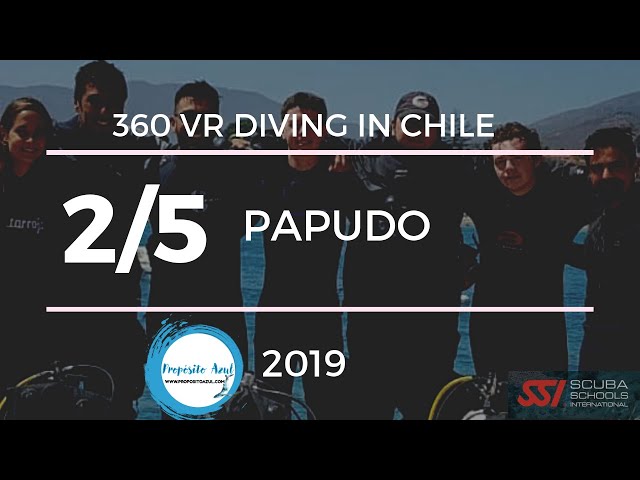 360 VR DIVING IN PAPUDO CHILE 2/5