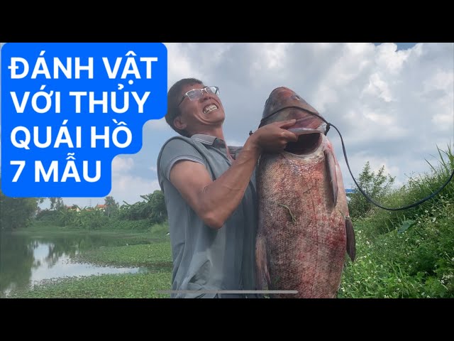 Du lịch bụi và câu cá đang phát trực tiếp!săn cá khủng hồ tự nhiên 7 mẫu#fishing