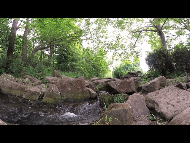 360° The fish way on the river sheaf, millhouses, Sheffield