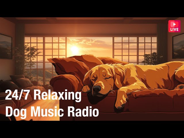 🔴[LIVE] Relaxing Calm Music for Dogs 24/7