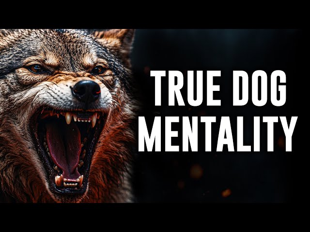 TRUE DOG MENTALITY - Powerful Motivational Speech Video (ft. Freddy Fri)