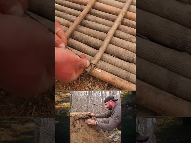 Building shelter / DIY Wood / Decor home / Plastic house / Live in forest / Survival / Camping