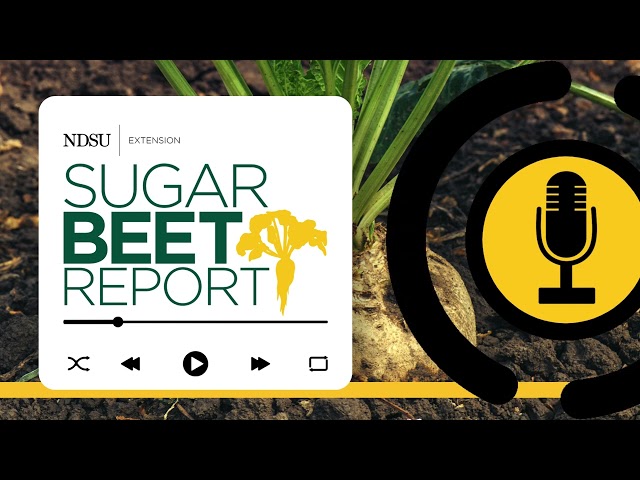 Weed Management Strategies for 2024 - Sugarbeet Report