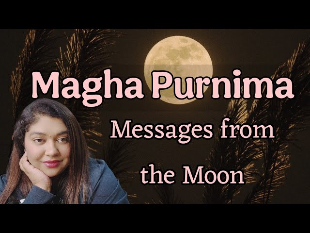 Magha Purnima 2025 - Messages From The Moon 🌕 Pick A Card Reading