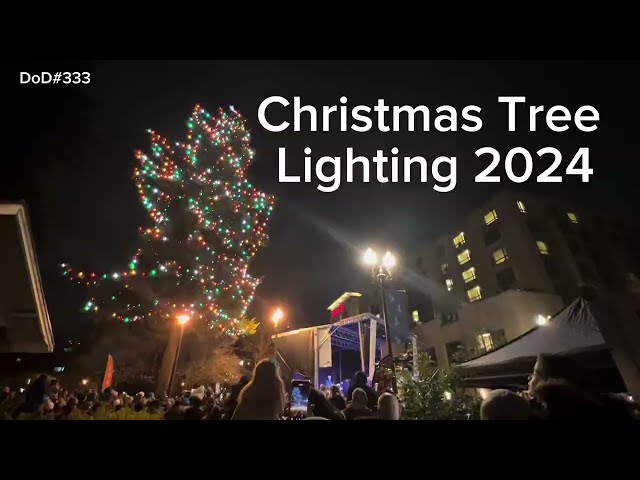 Christmas Tree Lighting 2024