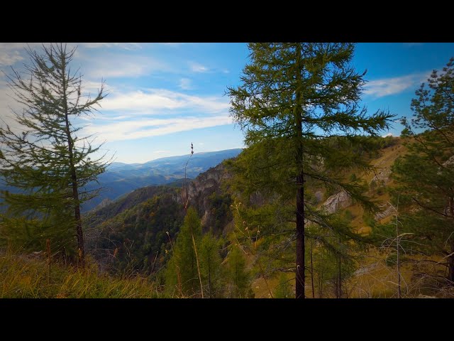 Relaxing Nature Sounds: Birdsong, Mountain Wind & Raven Calls for Stress Relief and Sleep