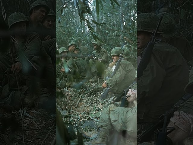 🌴 Battle of Dak To: Vietnam's Deadliest 🌴 #BattleOfDakTo #VietnamWar  #Hill875 #VietnamConflict