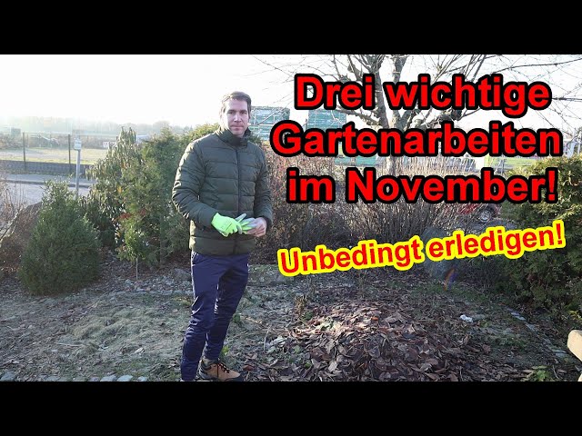 Die 3. wichtigsten Gartenarbeiten im Monat November – Unbedingt erledigen!!!