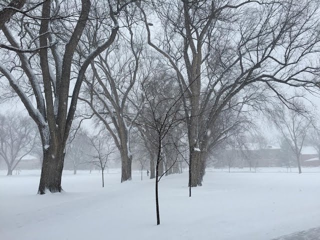 #360video: Snowy day at Colorado State University