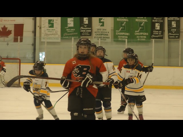 Isabelle's  Good Old Hockey Game