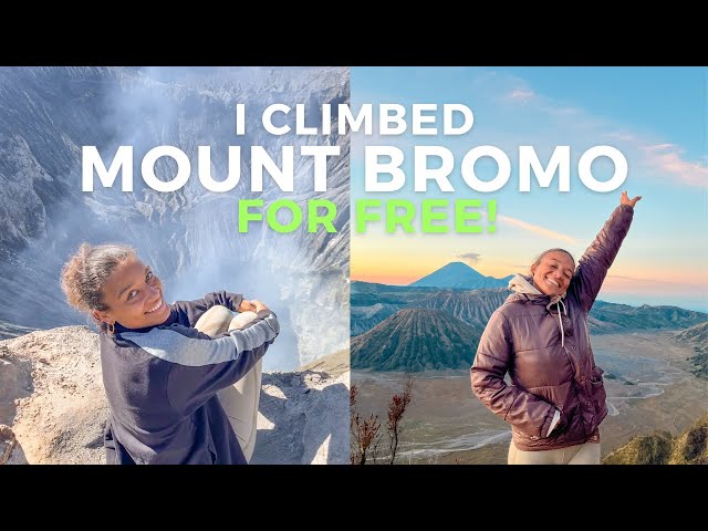 HIGHLIGHT of INDONESIA: MOUNT BROMO | JAVA INDONESIA