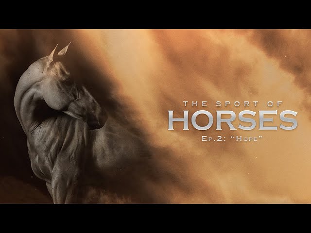 The Sport of Horses: Episode 2 - Hope