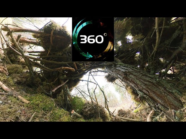 360 VR Video | Inside the huge Root & Baltic beach