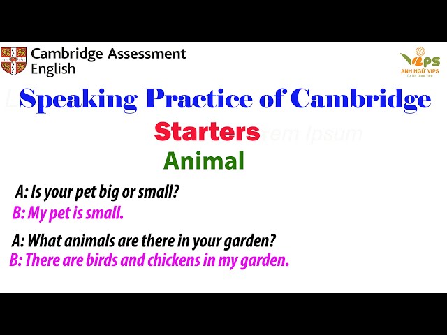 Speaking Practice - STARTERS - Animal