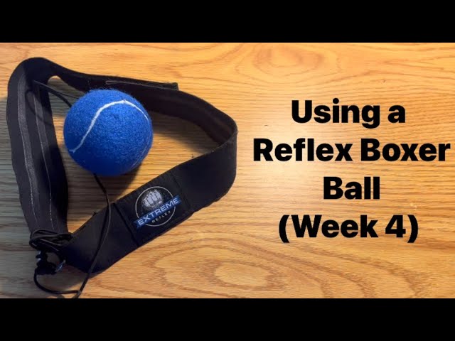 Using a Reflex Boxer Ball (Week 4)