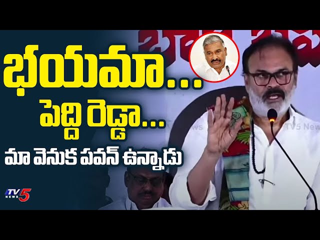 Janasena Nagababu Comments on YSRCP Peddireddy | Pawan Kalyan | AP Politics | TV5 News