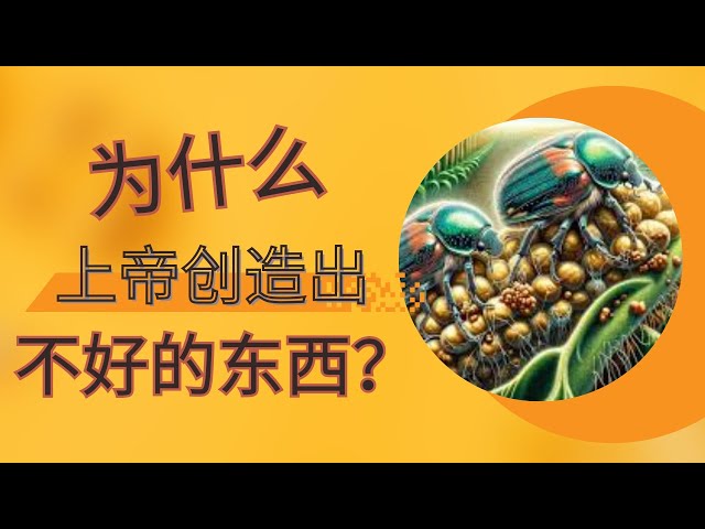 【信仰答疑】上帝為什麼會創造出不好的東西？如果真有上帝，為什麼這個世界充滿邪惡和混亂？｜Winston 答觀眾問（二）