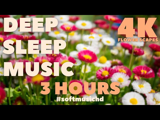 DEEP SLEEP MUSIC | 4K (UHD) FLOWER SCAPES | 3 HOURS