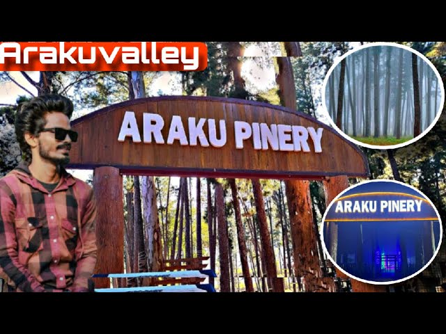 Araku Pinery, Arakuvalley: Andhra Pradesh