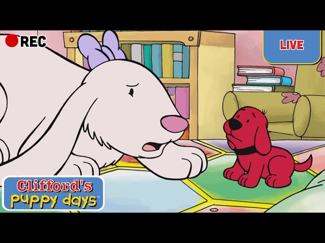 🔴 LIVE | Clifford's Puppy Days 🐕 Season 2 FULL EPISODES | Scholastic