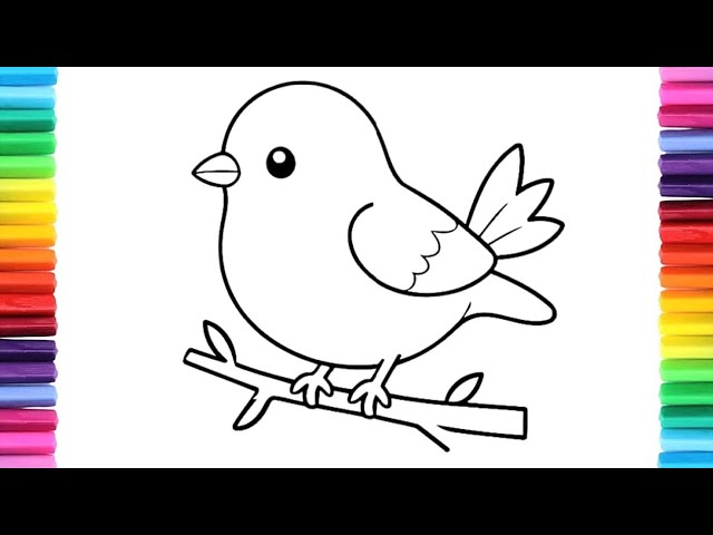 How to Draw A Bird Easy