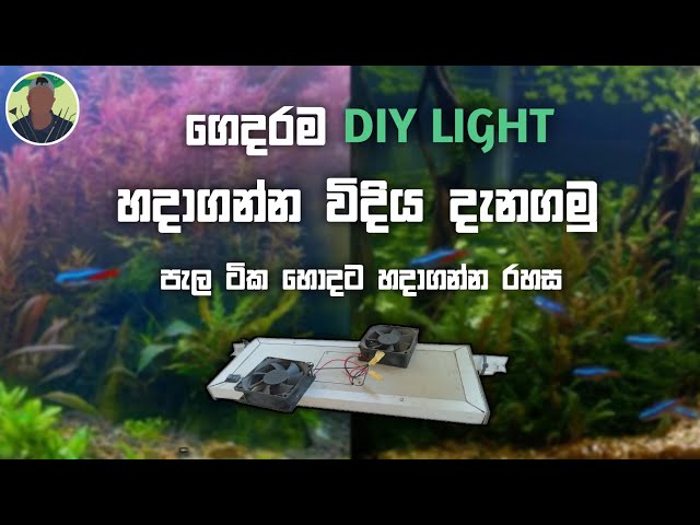 How to make a DIY Planted tank light at home | ගෙදරම ශාක ටැංකියට DIY light එකක් හදන හැටි දැනගමු 🍃