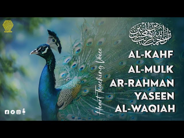 Surah Al-Kahf, Al-Mulk, Ar-Rahman, Yaseen, Waqiah Peaceful Voice ✦ Mohammad Hijazi ✦ Lullaby Alquran