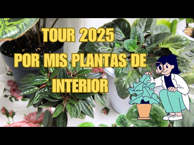 TOUR 2025 POR MIS PLANTAS DE INTERIOR