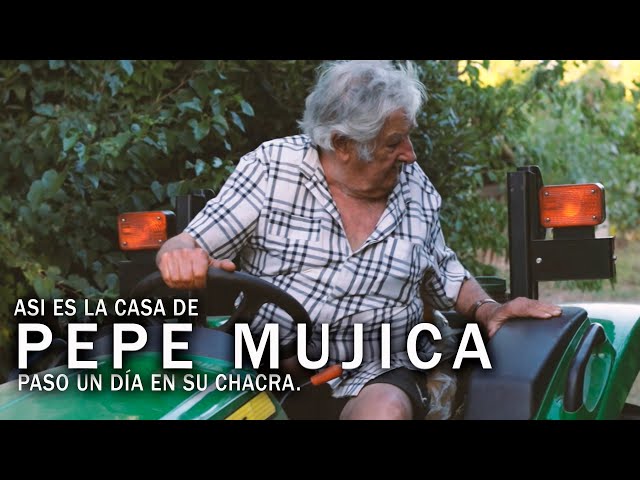 Entro a la CASA de PEPE MUJICA. Me muestra COMO VIVE y su rutina con gallinas, flores y tractores.