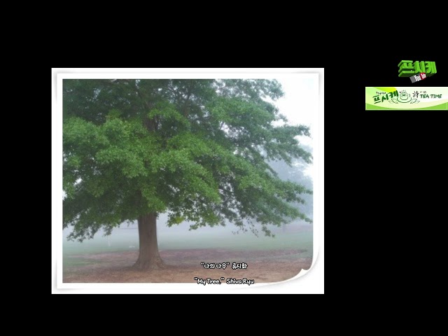 나의 나무 My Tree