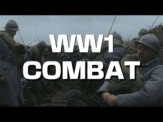 Western Front Combat: Stories from the trenches of WW1 (Educational)