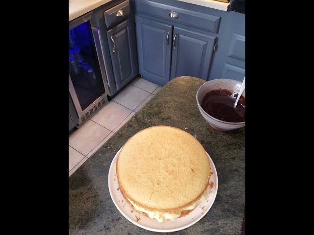 Homemade Boston Cream Pie Cake! #baking #homesteading #homemade #food